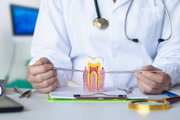 Best Emergency Tooth Extraction in Tuskegee, AL
